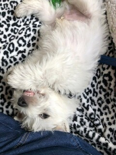 Say Cheese...