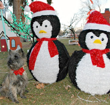 I let the Penguin have it!