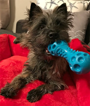 Having a ball!