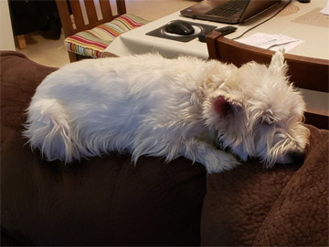 I will miss my old sofa...