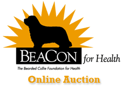 Auction