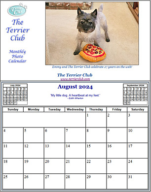 This Month