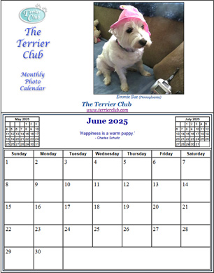This Month