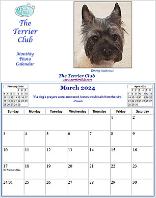 This Month