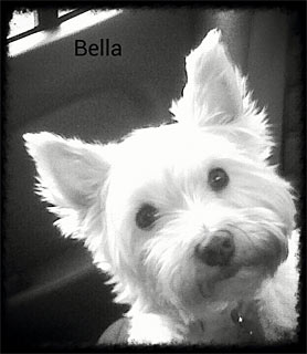 Bella