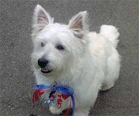 Casper