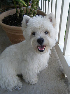 Charlie