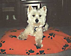 Chester