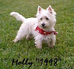 Molly (Florida)