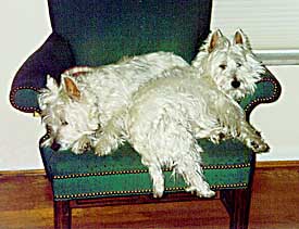 Mac & Scotty