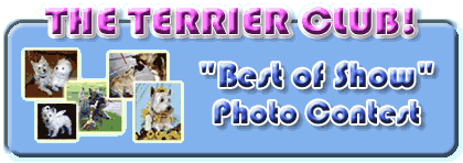 Terrier Photo Contest