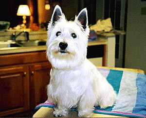 Dudley