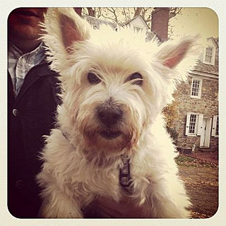 Molly