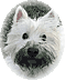 Visit Oprah the Westie