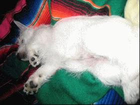 Click to send photo as a postcard!