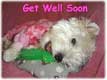 Get Well Soon!